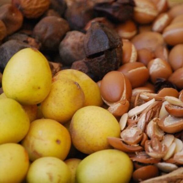 Organic virgin and toasted argan oil