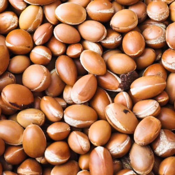  Virgin Argan Oil – 100% Pure Certified Organic